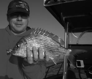 Good bream also hunt the shallows early of a morning but retire to deeper water as the sun gains intensity.